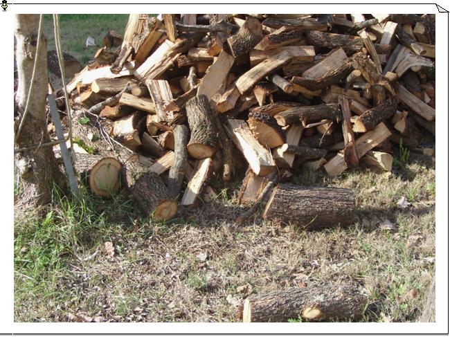 A Viterbo e provincia: vendita e fornitura di legna da ardere di ogni qualit - tagliata su misura - legna di origine italiana - consegna direttamente a casa vostra