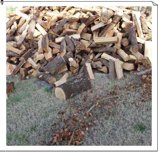 A Viterbo e provincia: vendita e fornitura di legna da ardere di ogni qualit - tagliata su misura - legna di origine italiana - consegna direttamente a casa vostra