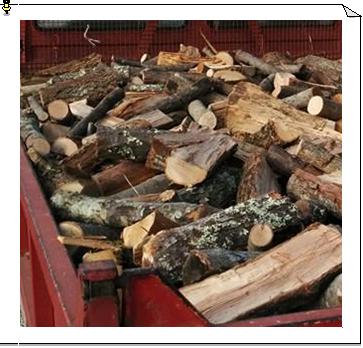 Nel viterberse: consegno legna da ardere a domicilio