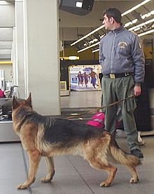 Dal Francis Apartment è rapidissimo raggiungere il Centro di Reclutamento della Guardia di Finanza sito in Roma Via della Batteria di Porta Furba n.34 (Arco di Travertino Metro A) Dal Francis Apartment è rapidissimo raggiungere il Centro di Reclutamento della Guardia di Finanza sito in Roma Via della Batteria di Porta Furba n.34 (Arco di Travertino Metro A)